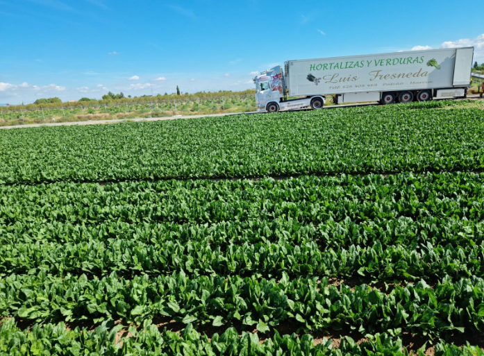 Plantación agrícola LUIS FRESNEDA S.L